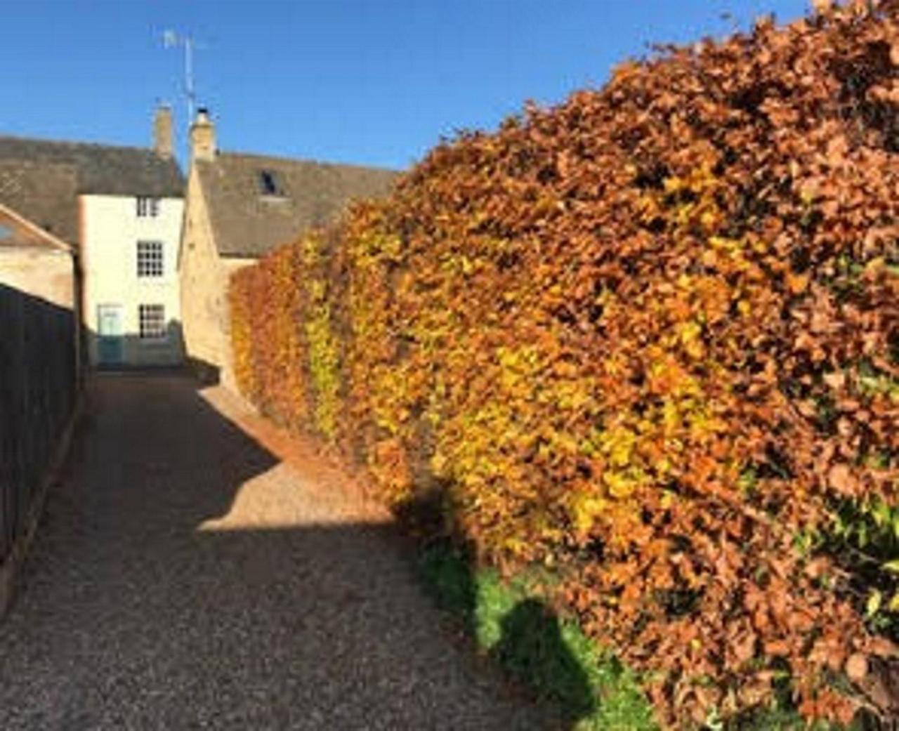 Villa The Annexe Chipping Campden Exterior foto